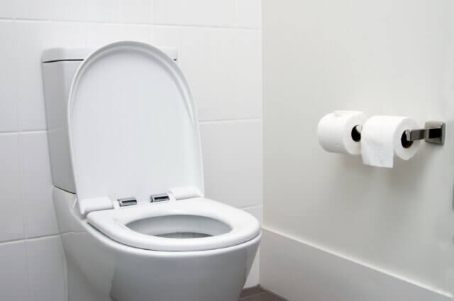 トイレ落下物の自力回収に活用できる家庭用品
