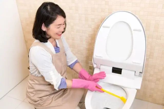 もうつまらせない！流せるトイレブラシの正しい使い方
