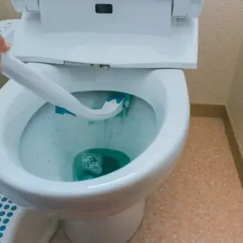 流せるトイレブラシでトイレがつまった！原因と今すぐできる対処法、プロに頼む判断基準を解説